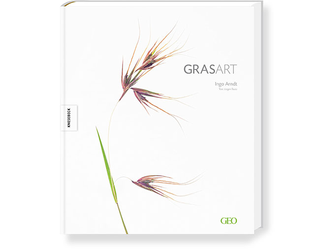 GRASSLAND – Book